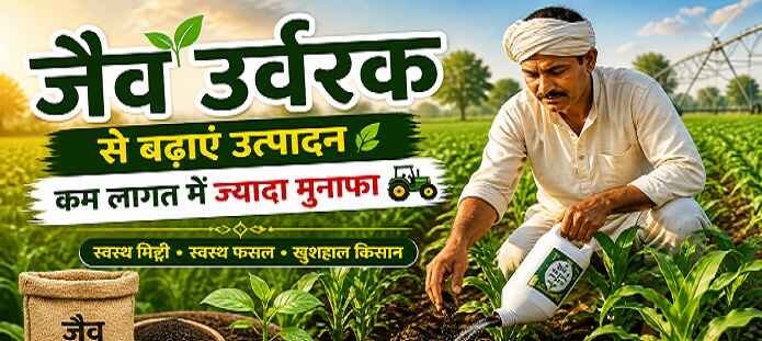 जैव उर्वरक (jaiv urvarak) का उपयोग करते किसान, हरे-भरे खेत में जैविक खेती और बेहतर फसल उत्पादन का दृश्य