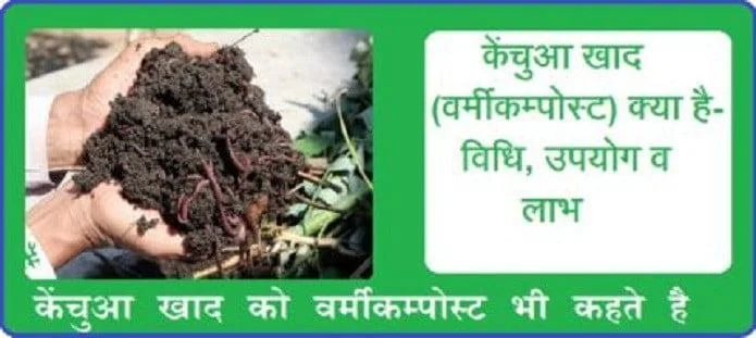 केंचुआ खाद क्या है?