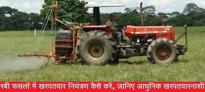 रबी फसलों में खरपतवार नियंत्रण कैसे करें
