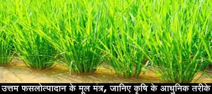 उत्तम फसलोत्पादान के मूल मंत्र