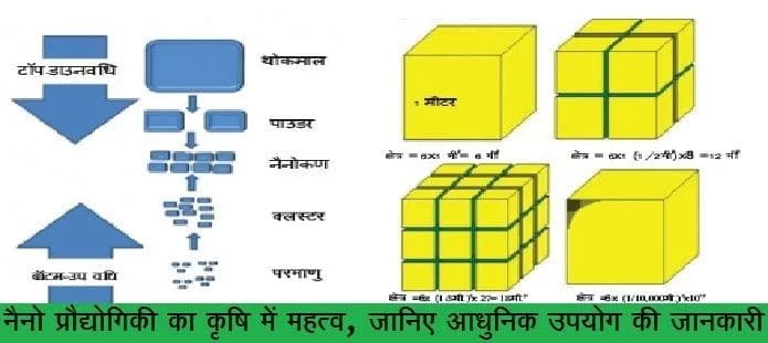 नैनो प्रौद्योगिकी का कृषि में महत्व