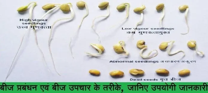 बीज उपचार क्या है?