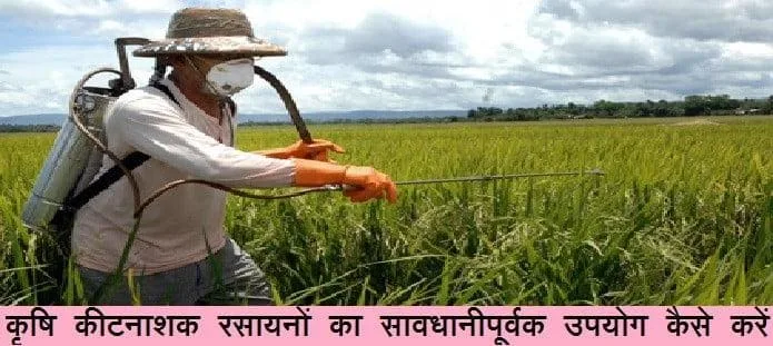 कृषि रसायनों का सावधानीपूर्वक सुरक्षित उपयोग कैसे करें