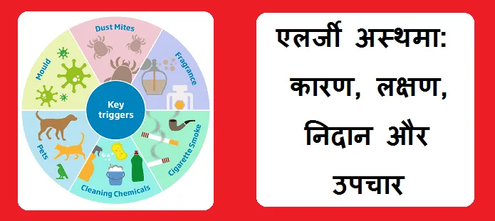 एलर्जी अस्थमा: लक्षण, कारण, जोखिम, जटिलताएं, निदान और इलाज