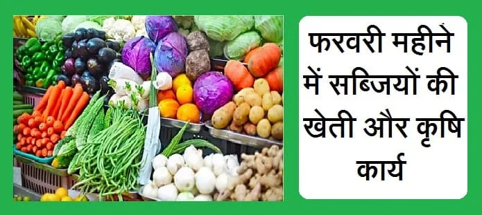 फरवरी महीने में सब्जियों की खेती और बागवानी कृषि कार्य