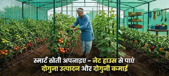 नेट हाउस के अंदर सब्जी की खेती (Net House Kheti) करते किसान, शेड नेट संरचना में टमाटर, खीरा और शिमला मिर्च की खेती का दृश्य